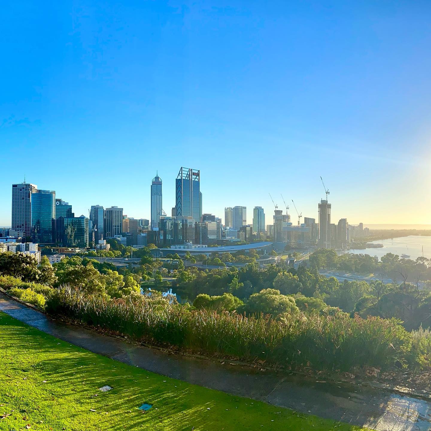 Perth CBD from Kings Park on a sunny day