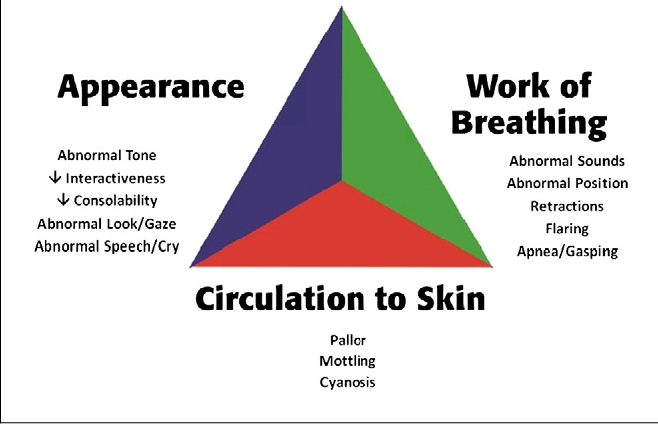 Paediatric Assessment Triangle