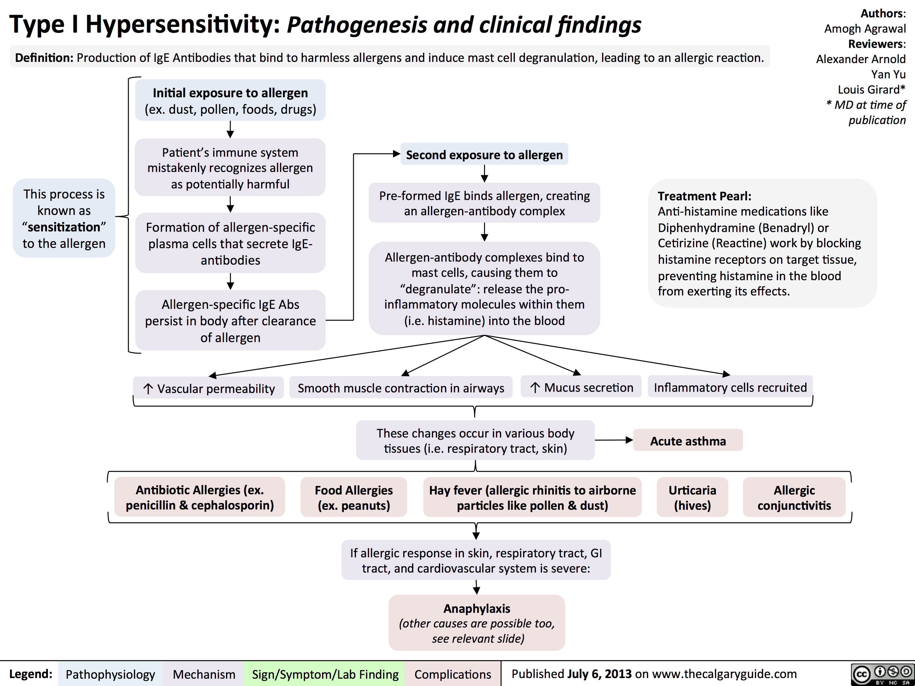 T1 hypersensitivity pathogenesis